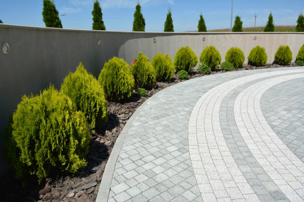 Best Concrete Paver Driveway  in North Pearsall, TX